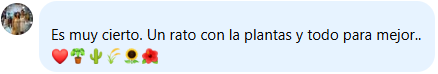 Testimonio 5