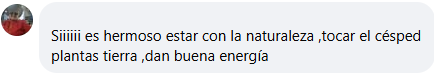 Testimonio 6