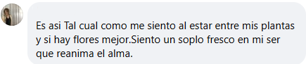 Testimonio 6
