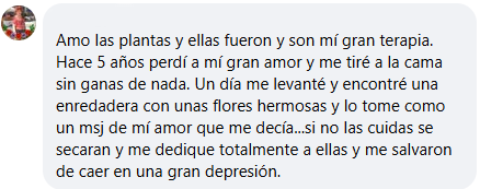 Testimonio 6