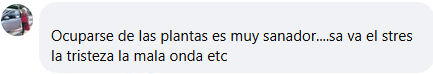 Testimonio 6