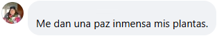 Testimonio 6