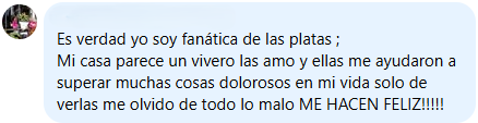 Testimonio 6