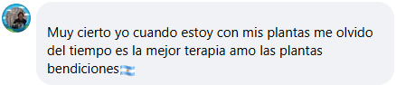 Testimonio 3