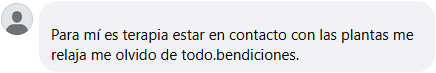Testimonio 4