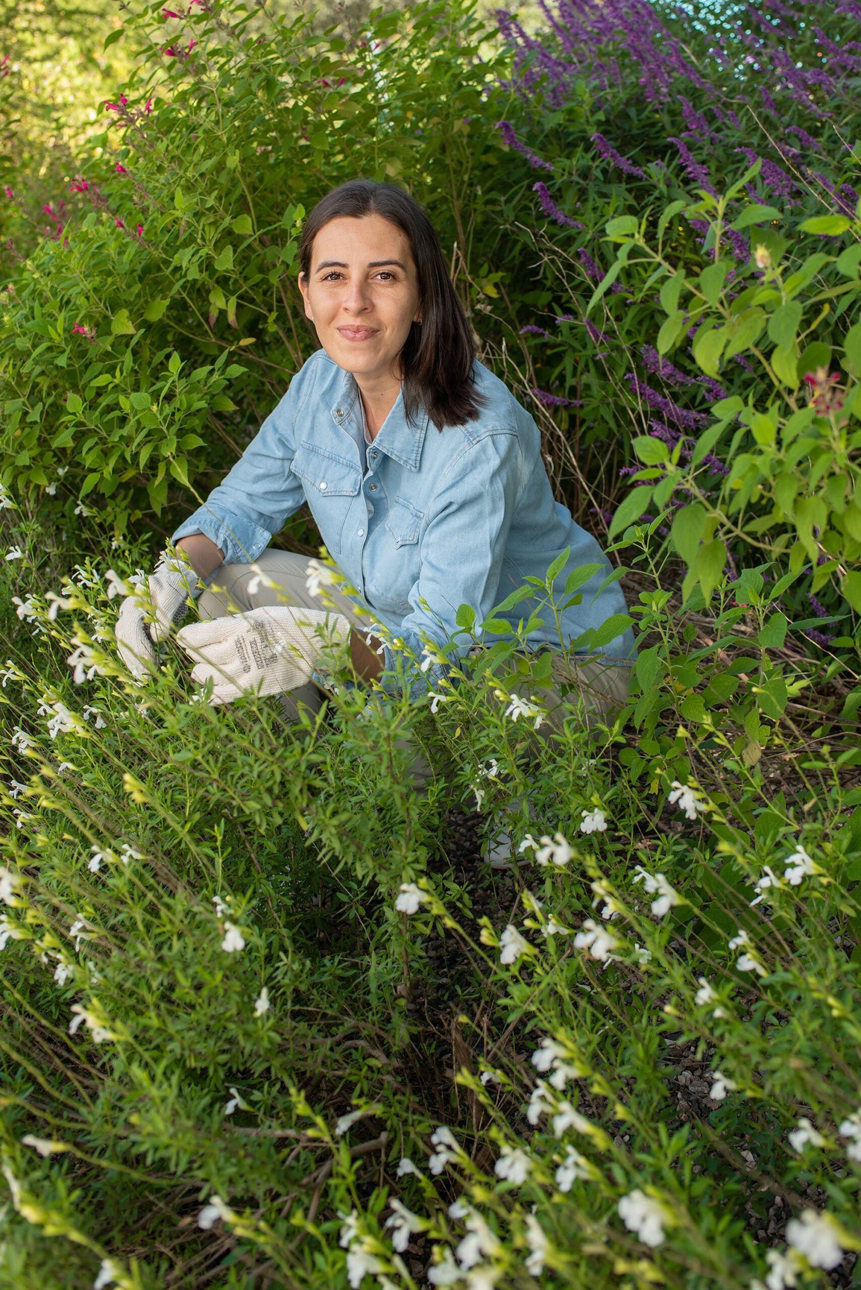 Instructora Terralia
